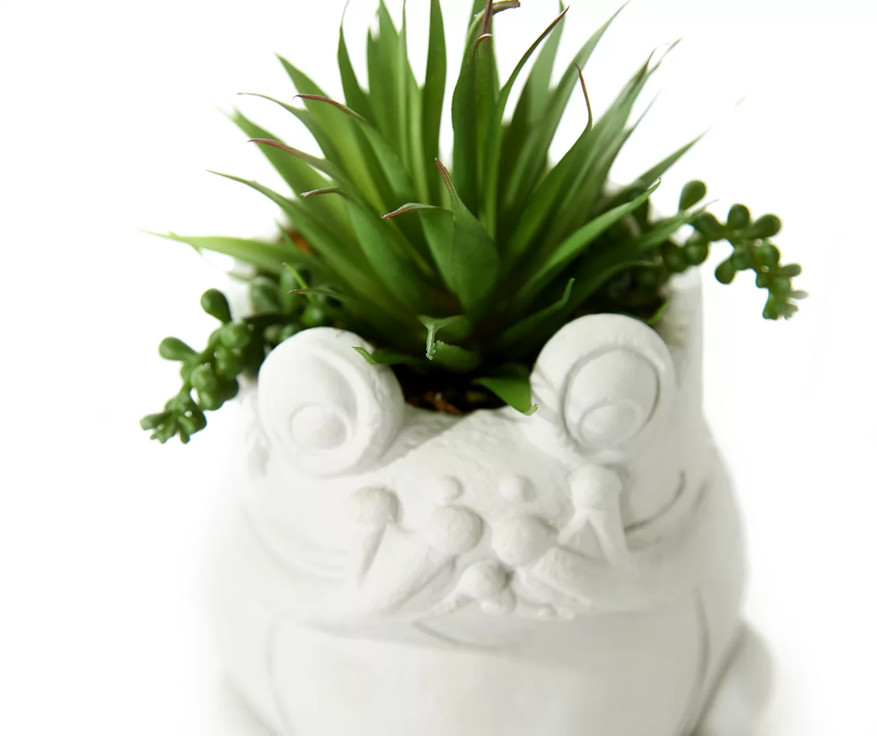Succulent In White Cement Frog Pot 2 Succulent In White Cement Frog Pot - Image 2