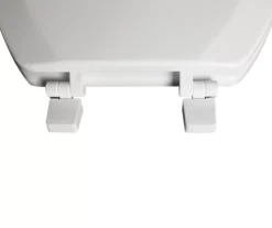 White Oblong Wood Toilet Seat -Modern Decor Shop 810557533 111