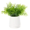 Artificial Greenery In White Ribbed Ceramic Pot