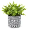 Artificial Plant In Black & White Southwest Cement Pot