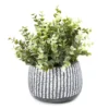 Artificial Eucalyptus In Dash Line Cement Planter