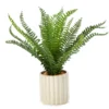 Artificial Fern In White Ribbed Pot