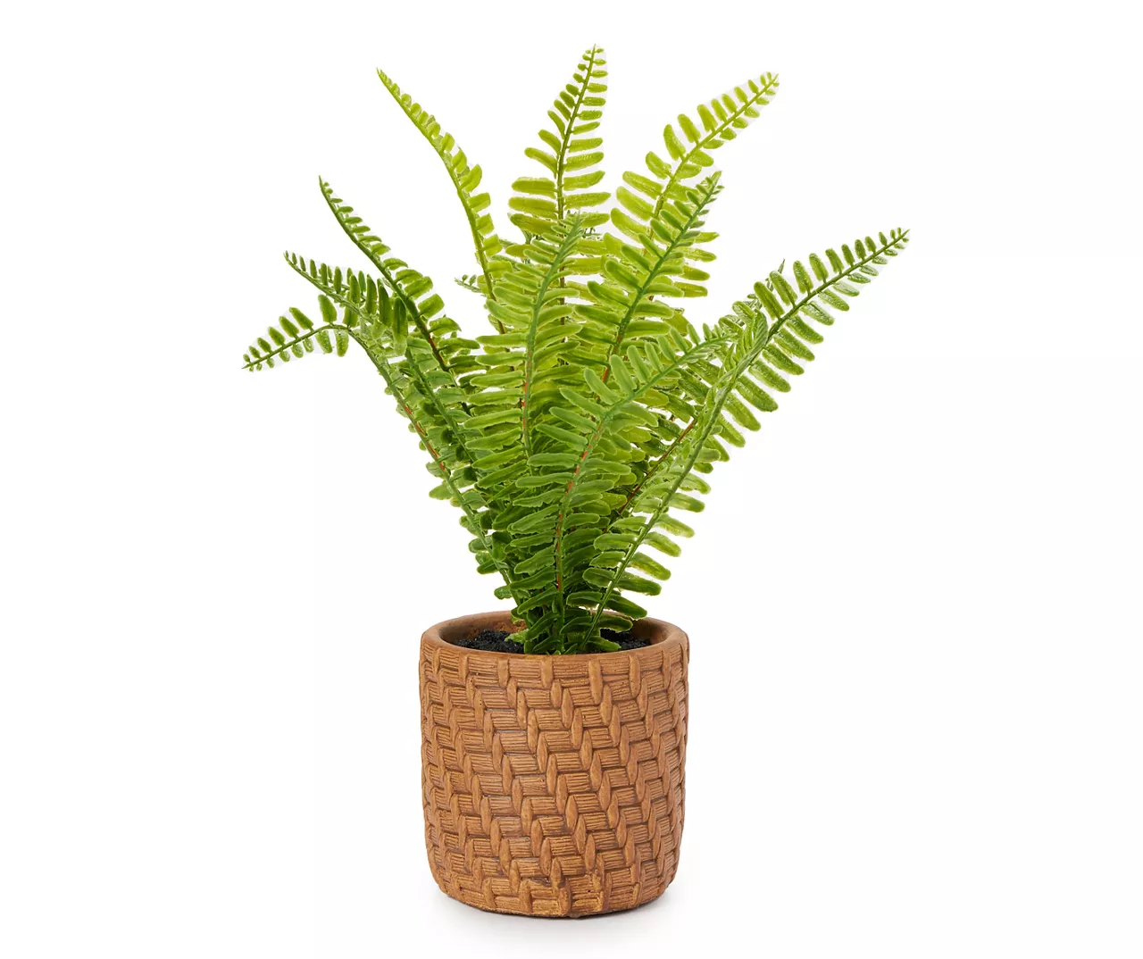 Blossom Green Artificial Fern Arrangement With Brown Weave Cement Pot 1 Blossom Green Artificial Fern Arrangement With Brown Weave Cement Pot